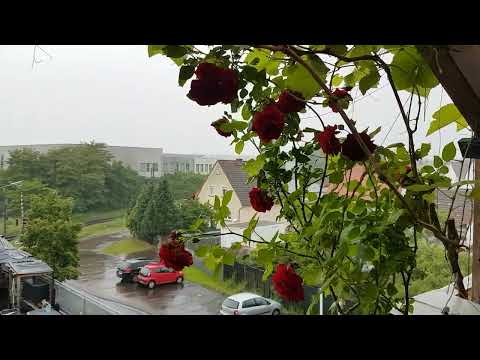 24. Mai 2024