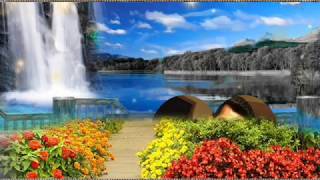 Happy marriage anniversary।Arjun Bijlani।love WhatsApp status song।Rehna tu pal pal dil ke paas song