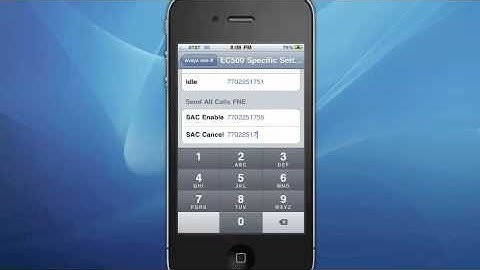Avaya one-X Mobile Lite Set-Up Instructions