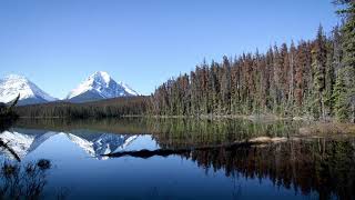 Relax with beautiful background music | 4K Mountain view screenshot 5