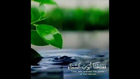 (سورة: القمر القارئ: اسلام صبحي.)