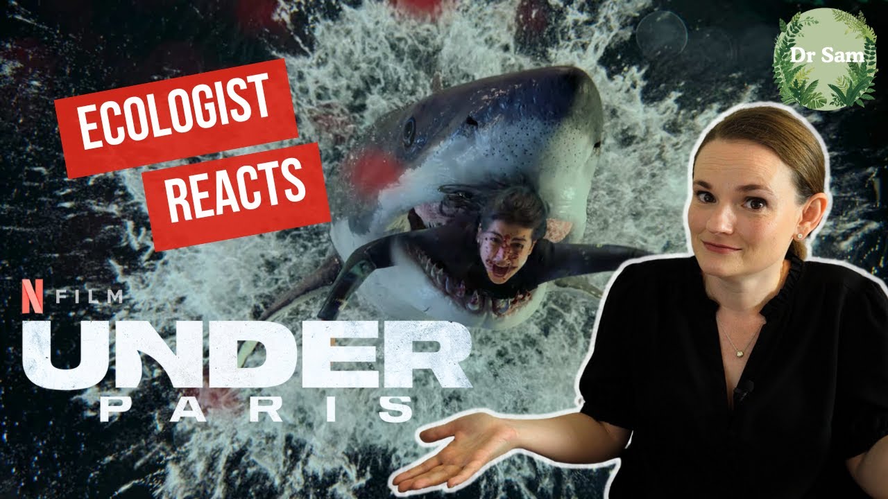 Shark Scientist Reacts to "Under Paris"