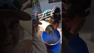 o melhor do relooooo e credooooo só chegar rua urutu n8 ermelino matarazzo #shortvideo