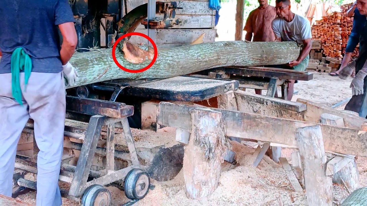 Bansaw Sawmill!! Application of Artificial Intelligence in Timber Cutting Management