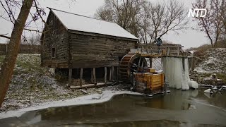 В Курской области снова перемалывает зерно 300-летняя водяная мельница