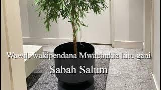WAWILI WAKIPENDANA MWACHUKIA KITU GANI/ SABAH SALUM @Mizikiyote #taarabmusic #taarabsongs