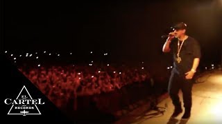 Daddy Yankee - Amsterdam &amp; Malaga (2014) [Live]