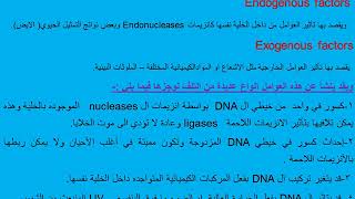 Mechanisms of DNA repair  طرق اصلاح والتئام الدنا ا.د. جمال حسان