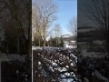 Ref:kkBZsg4isbQ La neige � aurillac 