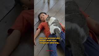 Hati Kucing Pon Boleh Berubah