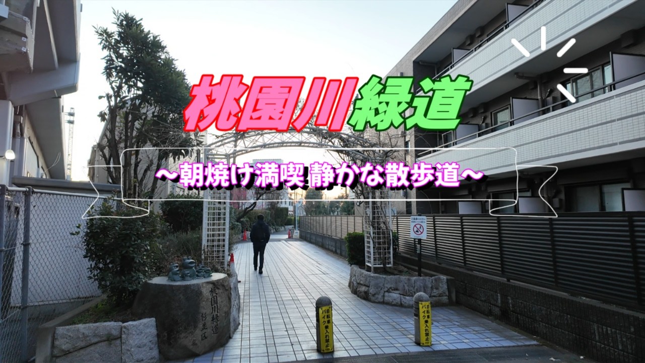 【東京散歩】桃園川緑道を歩く｜阿佐ヶ谷から神田川までノーカット｜早朝60分｜環境音メイン｜Momozono River Greenway Walk