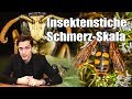 Insektenstiche schmerzen skala  justin o schmidt