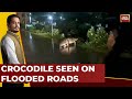 Cyclone michaung news updates crocodile seen on flooded roads of chennai  india today news