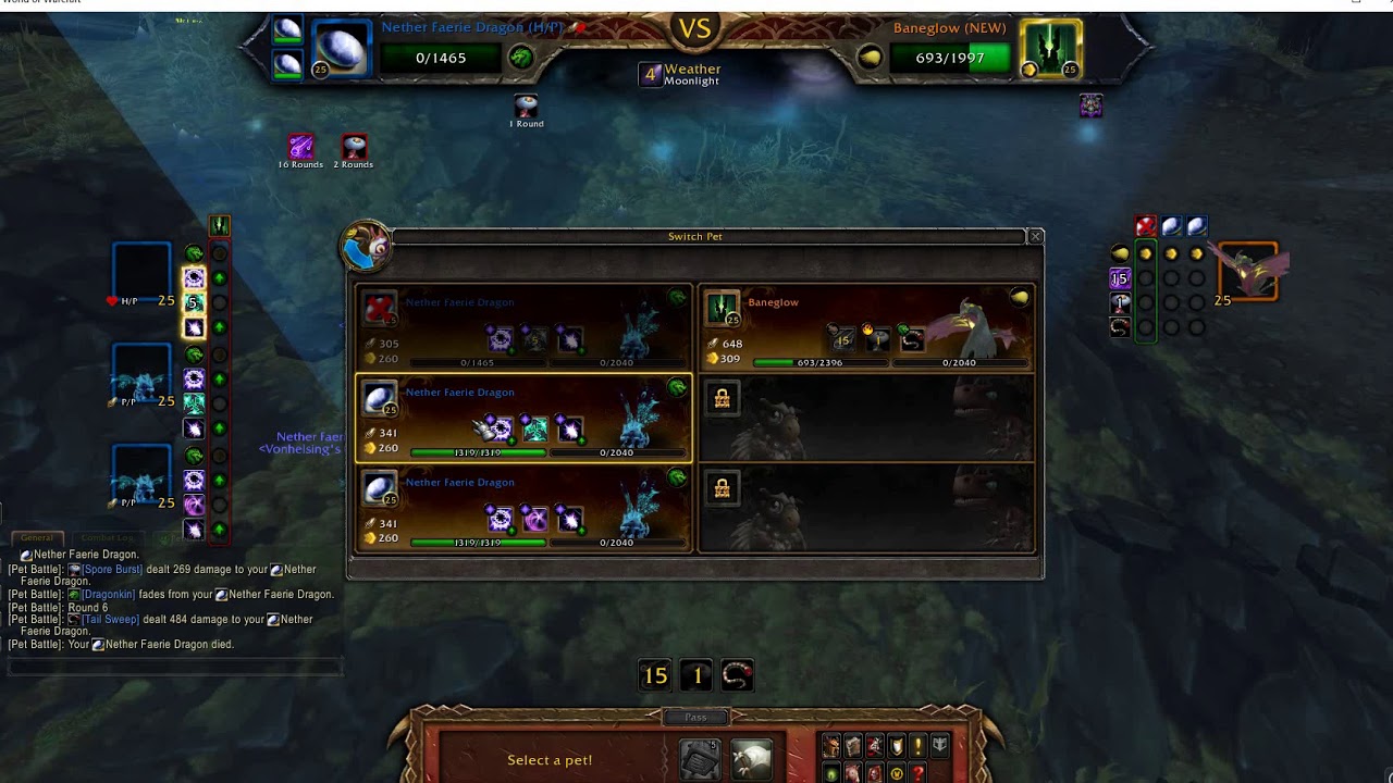 WOW - pet battle Baneglow VS. Dragon