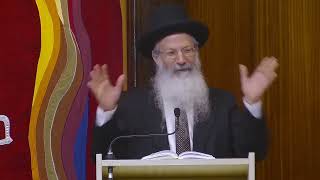 הלכות מדינה: משפט ישראל מול משפט ערכאות | הרב אליעזר מלמד