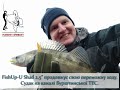 FishUp-U Shad 2,5" продовжує свою переможну ходу. Судак на каналі Бурштинської ТЕС.