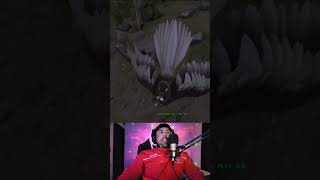 Rico Te Y El Peor Argentavis