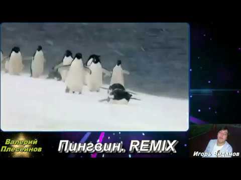 Песня пингвины. Песня про пингвинов в Антарктиде. Музыкальный Пингвин 2001 год. Фото Пингвин ремикс. Включи песню пингвины