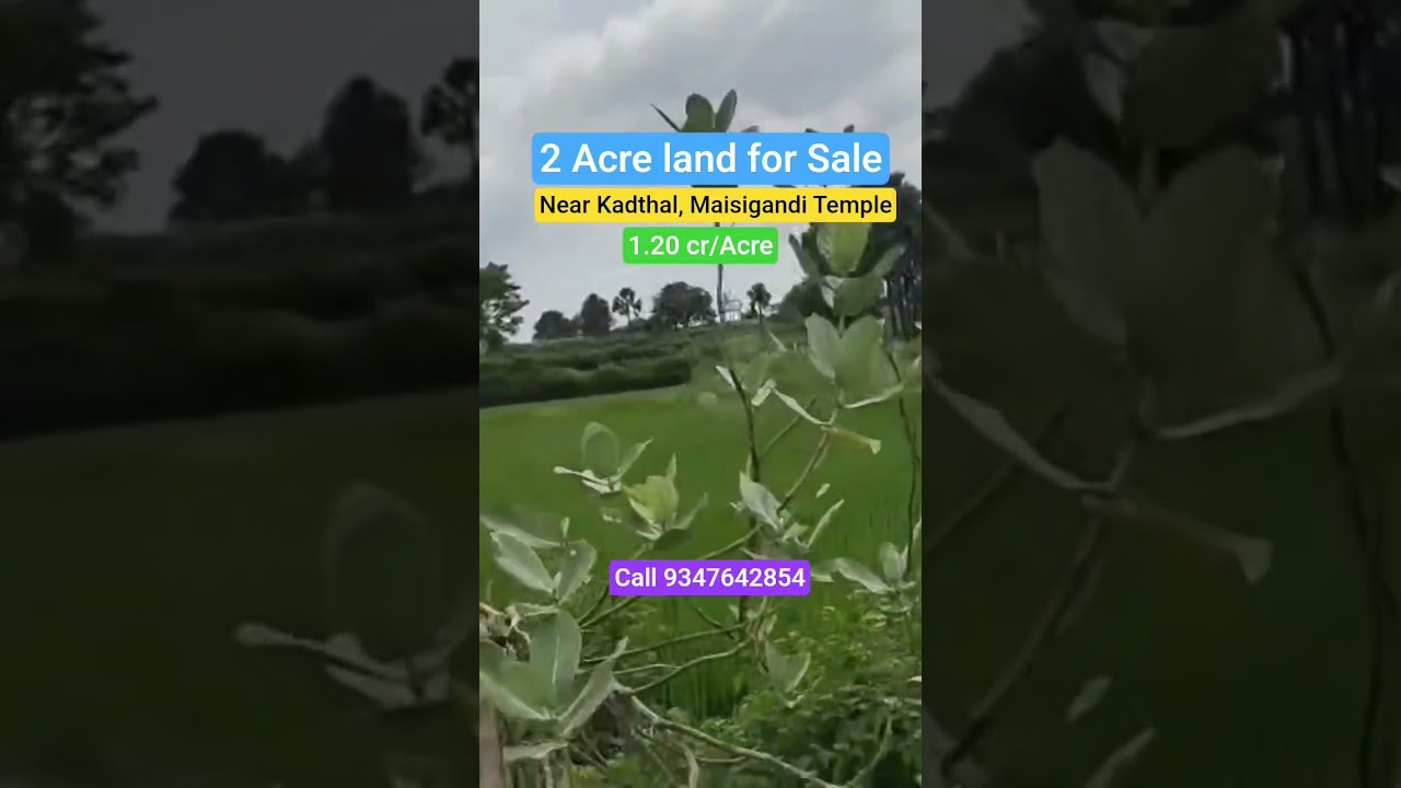 2 Agriculture land for sale near Kadthal Maisigandi temple 9347642854 