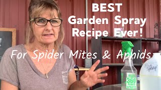 Natural DIY Spray for Spider Mites and Aphids