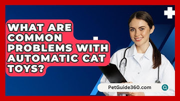 What Are Common Problems With Automatic Cat Toys? - PetGuide360.com