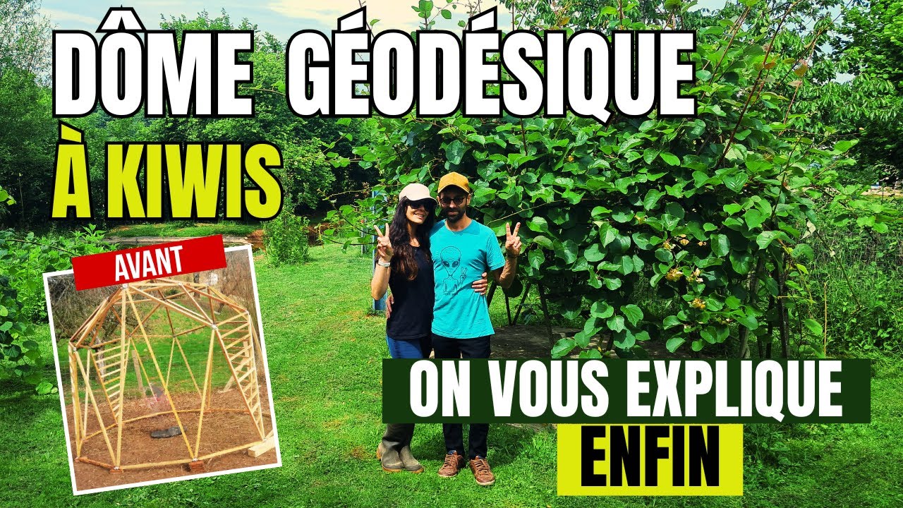 DÔME géodésique à kiwis : On vous explique ENFIN COMMENT le faire avec le Kit Hubs V2 !!!
