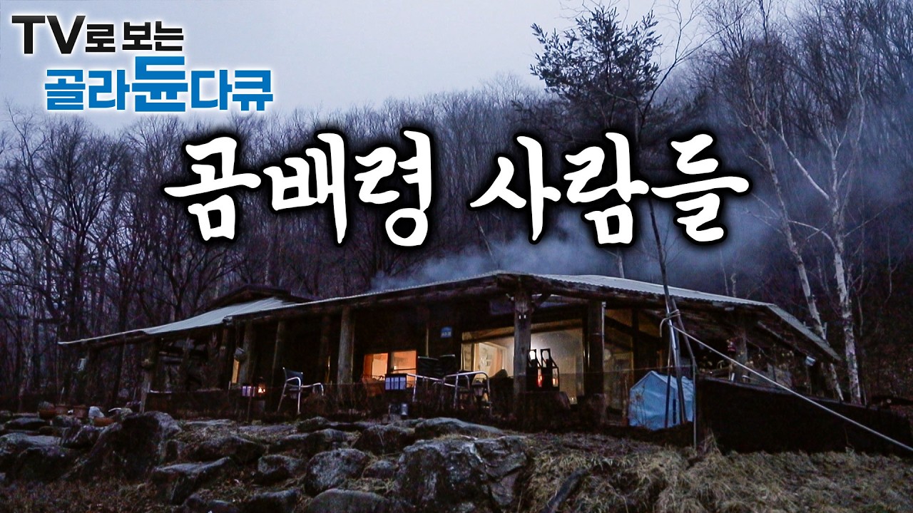 대한민국의 히말라야, 오지중의 오지 ‘곰배령’ 사람들의 겨울나기 모아보기｜한국기행｜#골라듄다큐