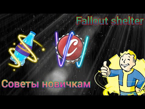 Видео: Советы новичкам в Fallout shelter