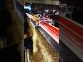 #instadaily #FactoryDirect #GlobalTrade #ConveyorSystems #ConveyorBelt