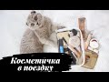 🎄Собираем косметичку в поездку ⛄❄️