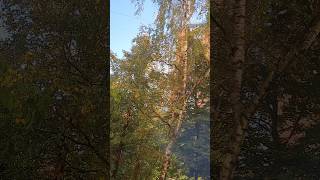 Проси и двигайся#аллоху#allah  #напоминание#субханаллах #природа#жизнь