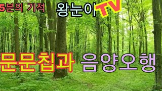 142. 5분의 기적 왕눈이TV 문문칩과 음양오행, 오행육기
