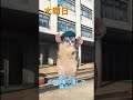 猫の1週間の気持ち#猫ミーム #shorts