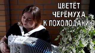 ЦВЕТЁТ ЧЕРЁМУХА К ПОХОЛОДАНИЮ - Лия Брагина