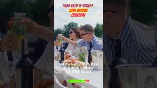 약용 효과가 뛰어난 전통 허브차 민들레차 #간기능개선, #이뇨작용, #소화촉진