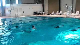 Seal/ Diver Training 1