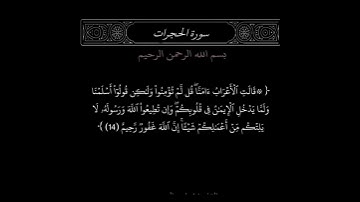 سورة الحجرات من ١٣ الي ١٤