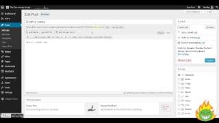 Sticky Posts in WordPress (Seventy-fifth attempt)