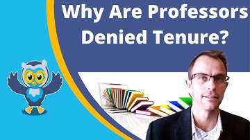 Why Are Professors Denied Tenure?