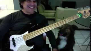 Fobia Descontrol -cover bajo