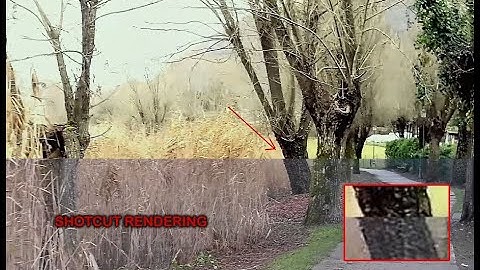 NCH Videopad Frame Drop VS ShotCut - Video test