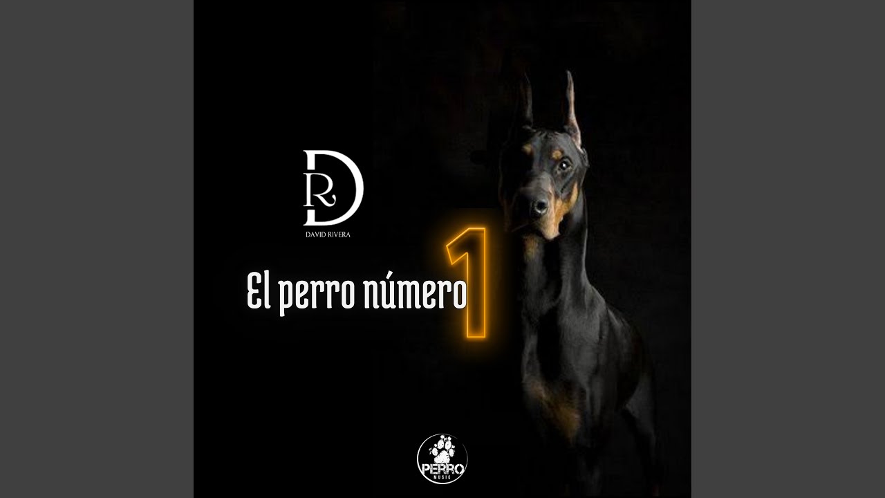 El Perro Numero 1 - YouTube