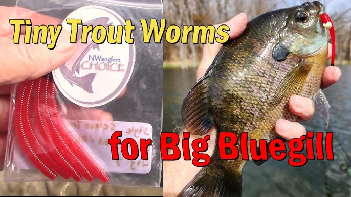 Z-Man ChatterBait Micro - To the Rescue! 