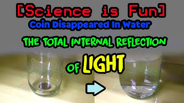 Coin Disappeared In Water – The Total Internal Reflection of Light