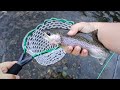 Catching nice rainbow trout on the North Umpqua River 