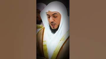 سورة هود #الوليد_الشمسان