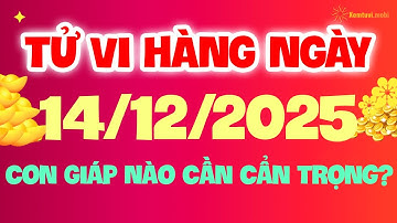 Tử vi phương đông chủ nhật ngày 14/12/2025 - Tử Vi Hàng Ngày 12 Con Giáp: Con Giáp Nào Cần Cẩn Trọng
