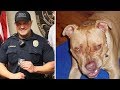 Stray Gigantic Pit Bull Charges At Police Officer, Then Does Something Surprising