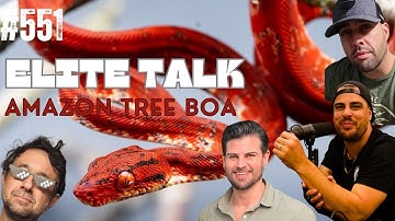 AMAZON TREE BOA ELITE BREEDER TAKE OVER EPISODE | ALL IN THE TREE TUESDAY LIVE
