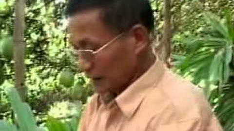 Ông Trần Sỹ Quảng   Những điều lưu ý khi trồng và thu hoạch Gấc